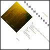 Suicideyear - Remembrance (Download Code)(Vinyl LP)