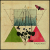 Way Down Wanderers - Illusions (LP)