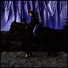 Holy Motors - Horse (Vinyl LP)