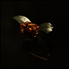 St. Paul & The Broken Bones - Young Sick Camellia (Download Card)(150G)(LP)
