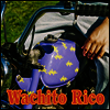Boy Pablo - Wachito Rico (LP)
