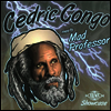 Cedric Congo Meets Mad Professor - Ariwa Dub Showcase (LP)