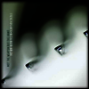 Steve Hogarth & Richard Barbieri - Not The Weapon But The Hand (LP)