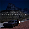 Pineapple Thief - Your Wilderness (LP)