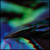 Birds Of Prey - Vanishing Point (LP)