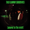 Flamin' Groovies - Jumpin' In The Night (CD)