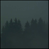 Max Loderbauer - Donnerwetter (LP)