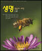 생명: 생물의 과학