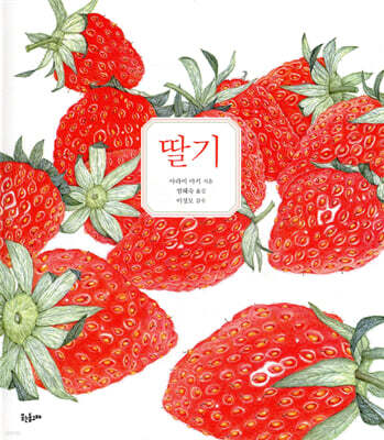 딸기