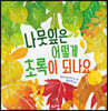 나뭇잎은 어떻게 초록이 되나요 (빅북)