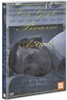 반 고흐, 피카소 그리고 안토니오 (1Disc)