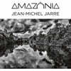 Jean Michel Jarre (장 미셸 자르) - Amazonia [2LP]