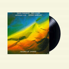 David Friedman (데이비드 프리드만) - Shades of Change [LP]