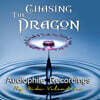 체이싱 더 드래곤 레이블 오디오파일용 데모 테스트 (Chasing The Dragon)