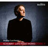 Andrea Lucchesini 슈베르트: 후기 피아노 작품 모음 2집 (Schubert: Late Piano Works Vol. 2)