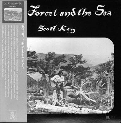 Scott Key (스콧 키) - This Forest And The Sea 