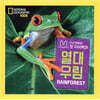 내셔널지오그래픽 키즈 빅북 : 열대 우림