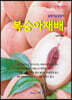 복숭아 재배