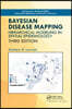 Bayesian Disease Mapping