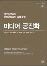 미디어 공진화