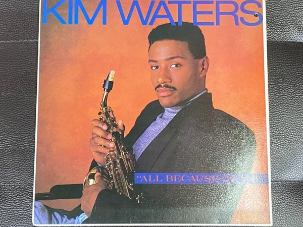 [LP킴 워터스 - Kim Waters - All Because Of You LP [서울-라이센스반]