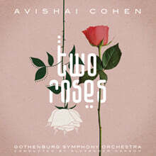 Avishai Cohen (아비샤이 코헨) - Two Roses [2LP]