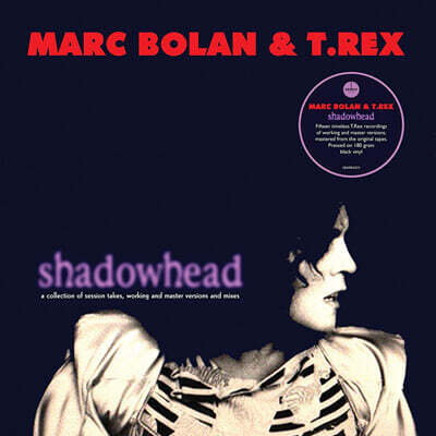 Marc Bolan & T. Rex (마크 볼란 앤 티렉스) - Shadowhead [LP]