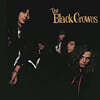 The Black Crowes (블랙 크로우즈) - Shake Your Money Maker