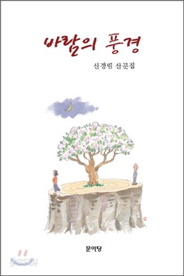 바람의 풍경