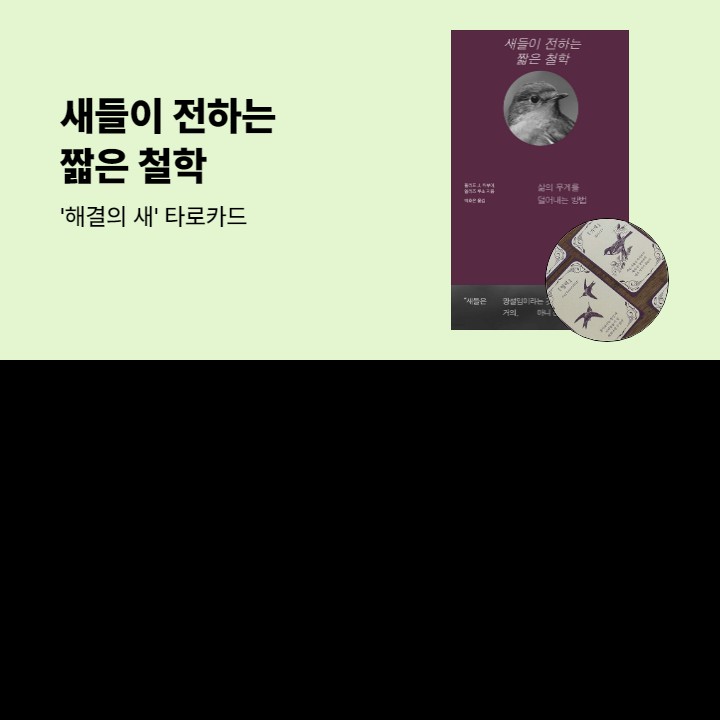 『새들이 전하는 짧은 철학』 출간 기념 - 타로카드