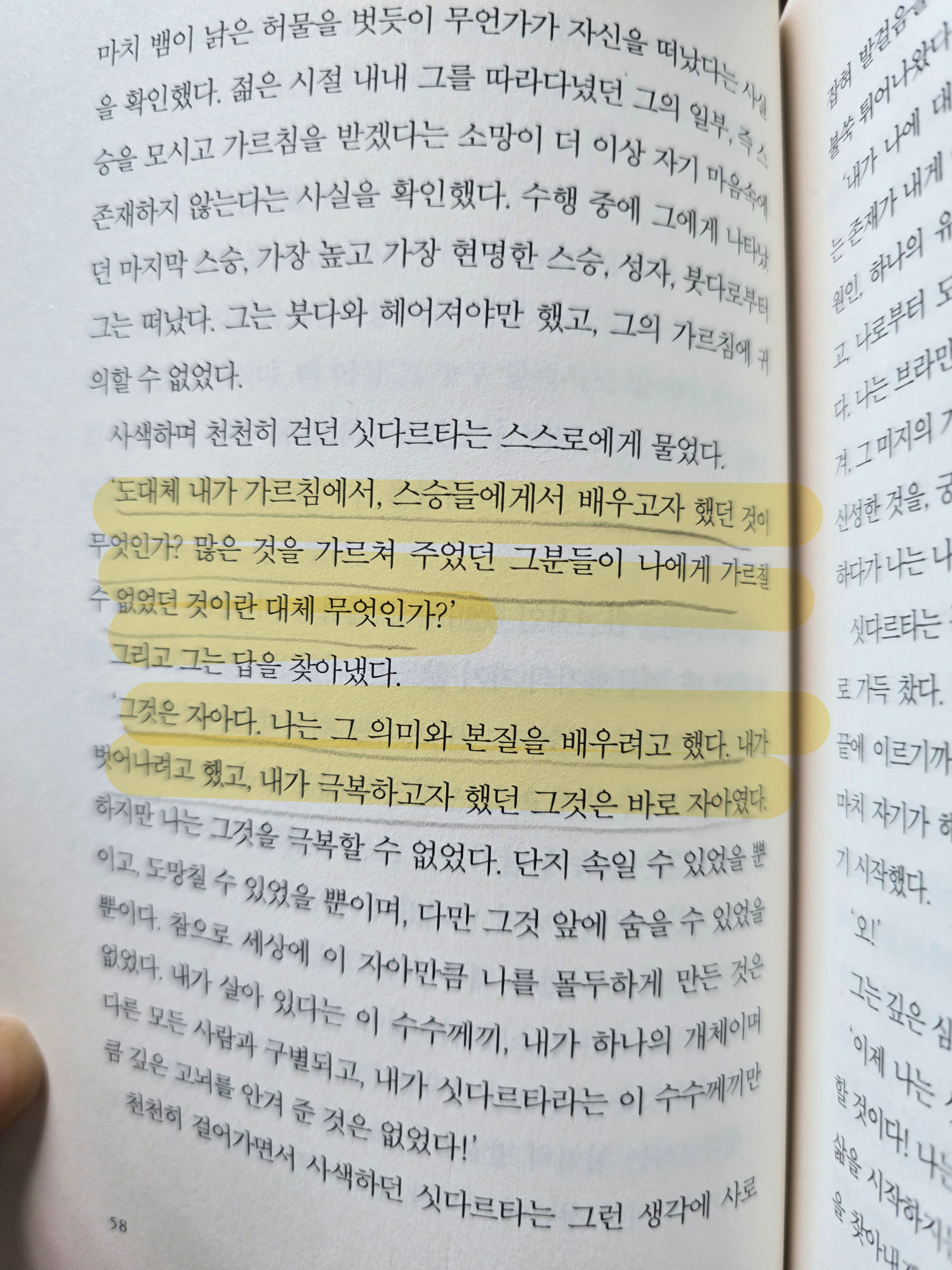 컨텐츠 이미지
