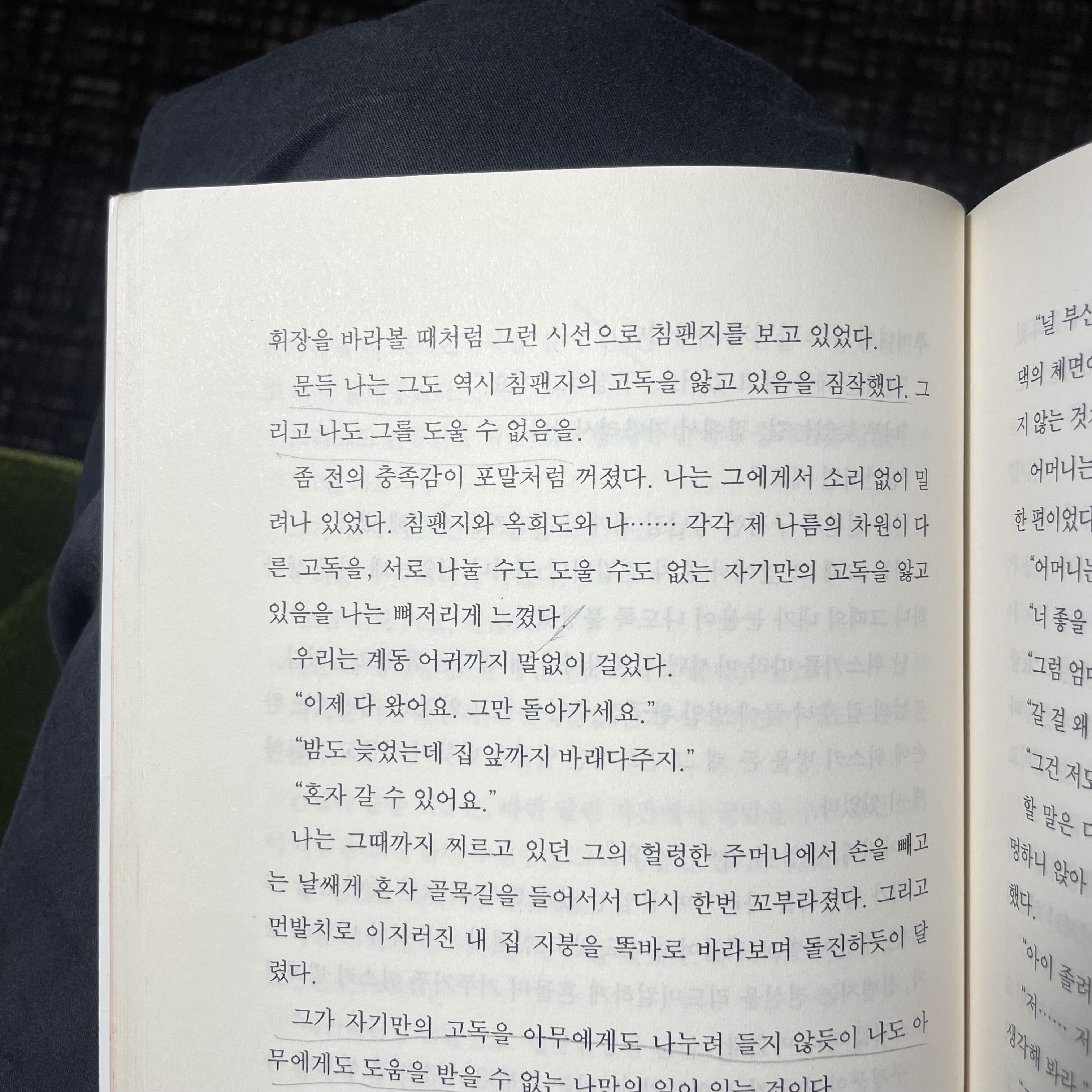 컨텐츠 이미지