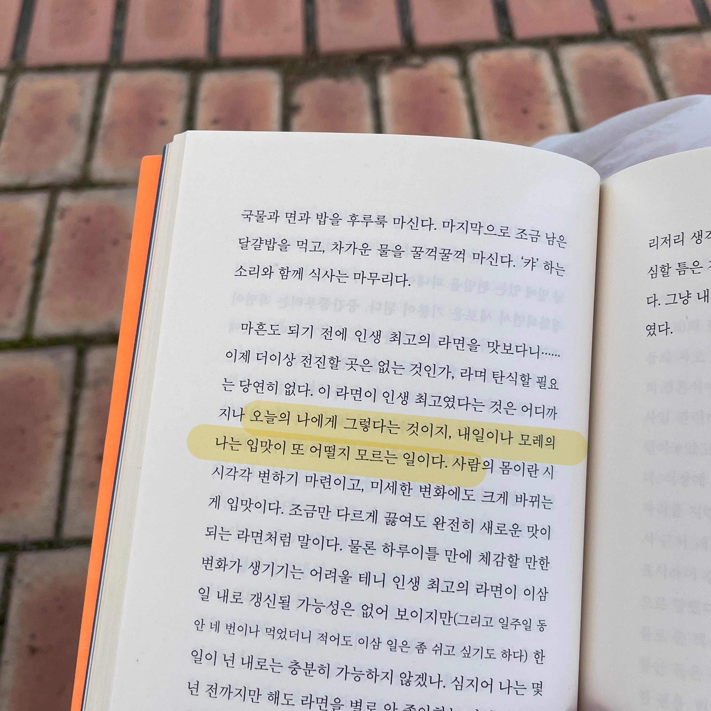 컨텐츠 이미지