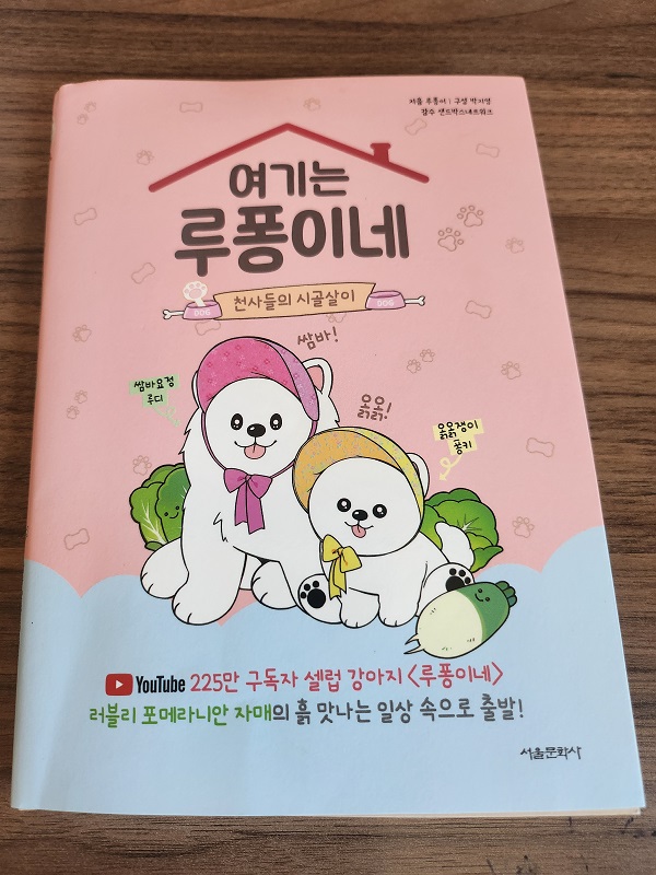 첨부된 사진