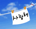 대표사진