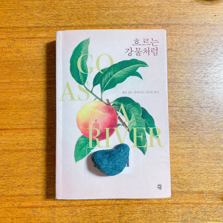 컨텐츠 이미지