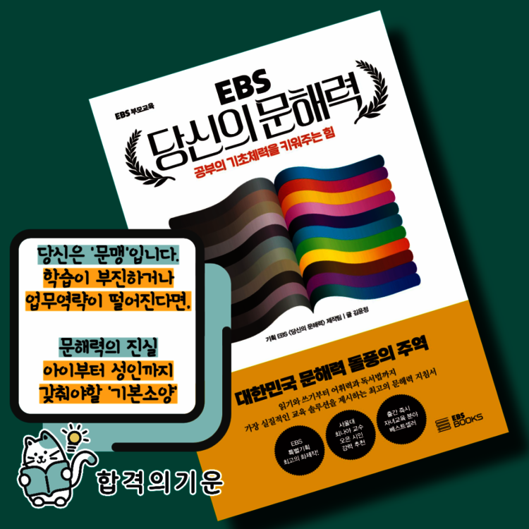 컨텐츠 이미지