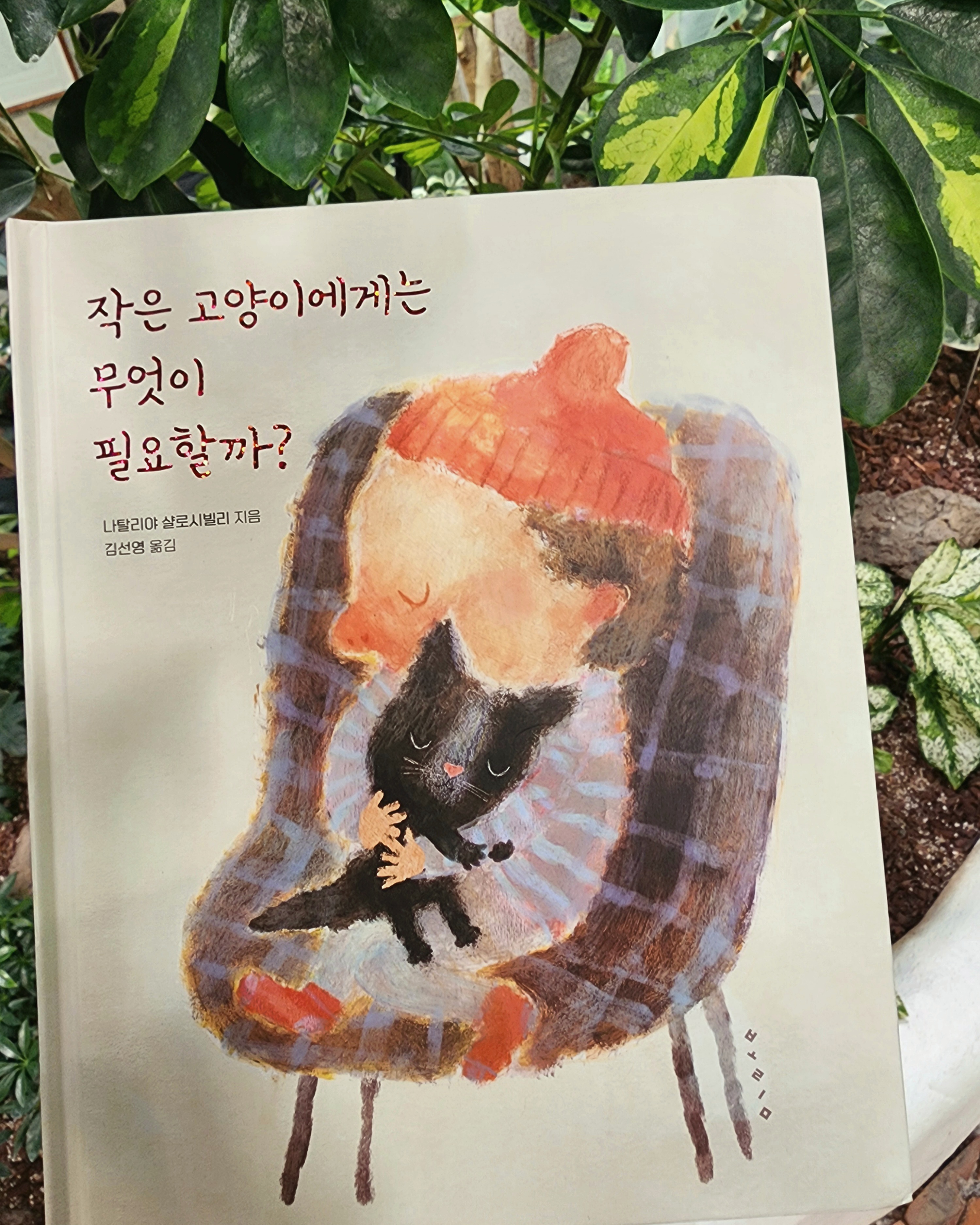 첨부된 사진