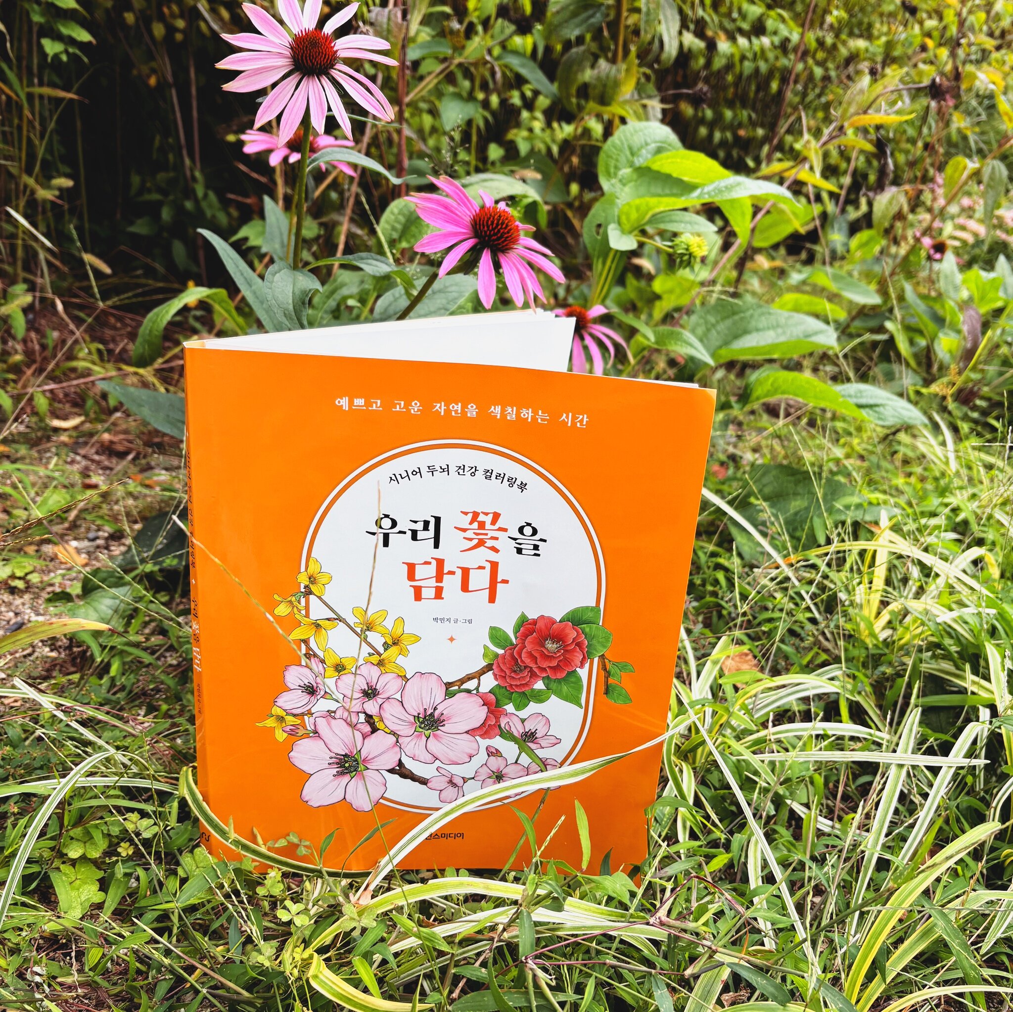 첨부된 사진