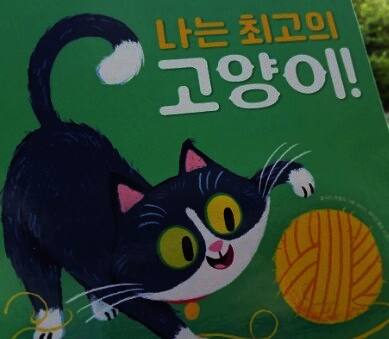 첨부된 사진