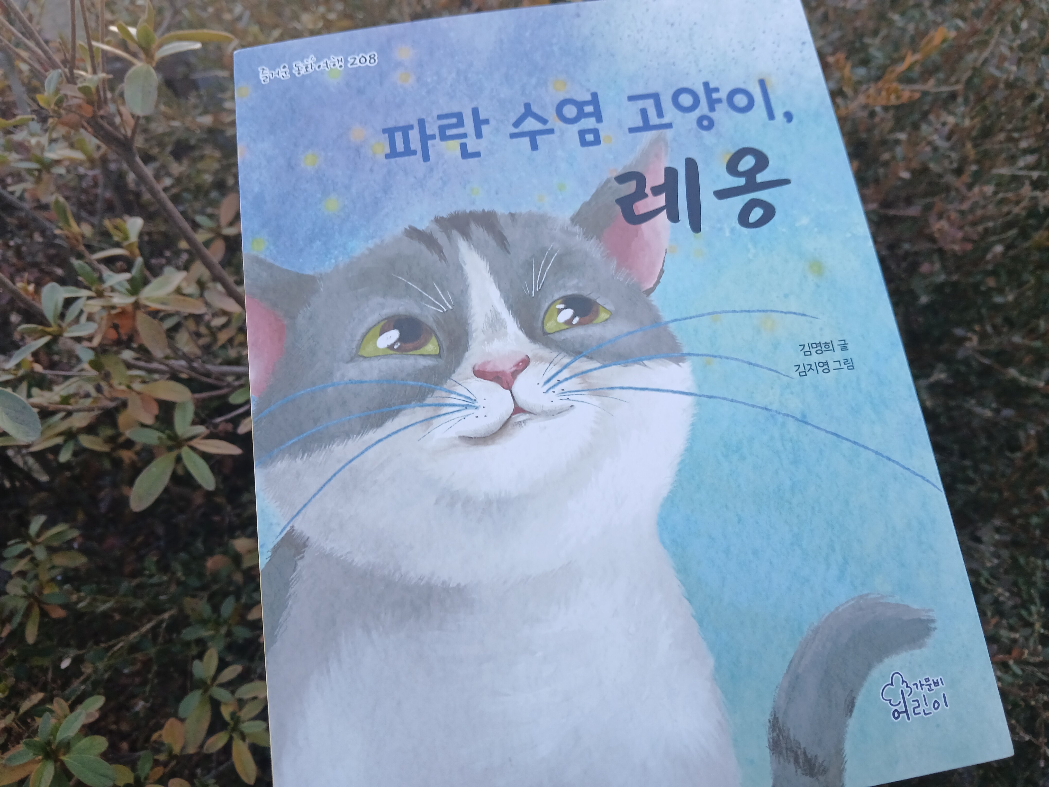 첨부된 사진