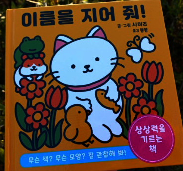 컨텐츠 이미지