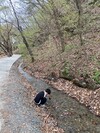 대표사진