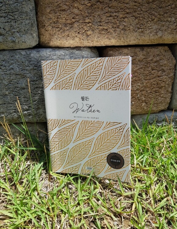 컨텐츠 이미지