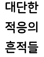대표사진