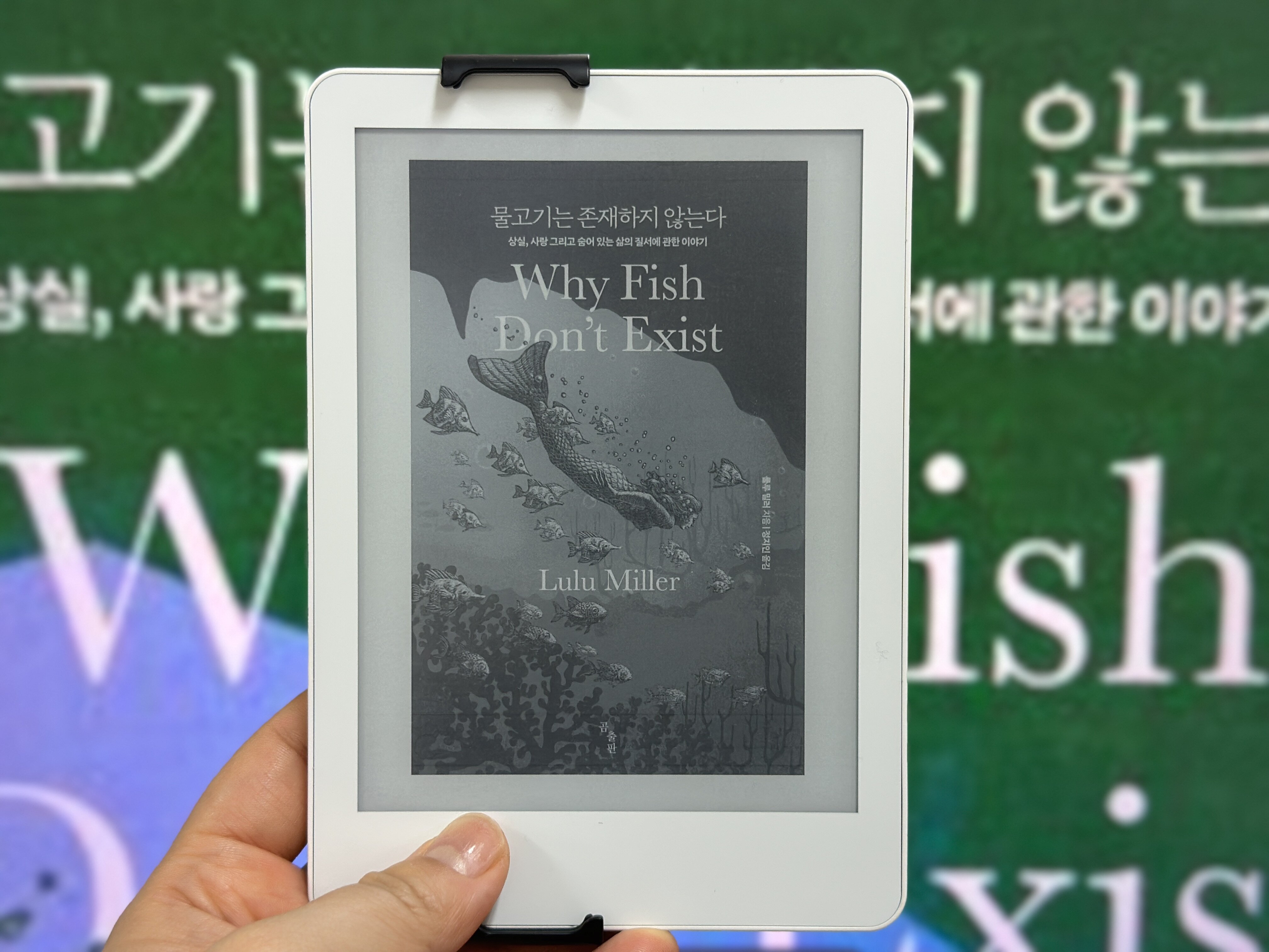 컨텐츠 이미지