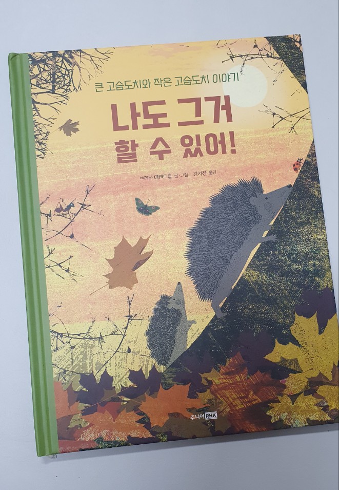 첨부된 사진