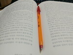 대표사진