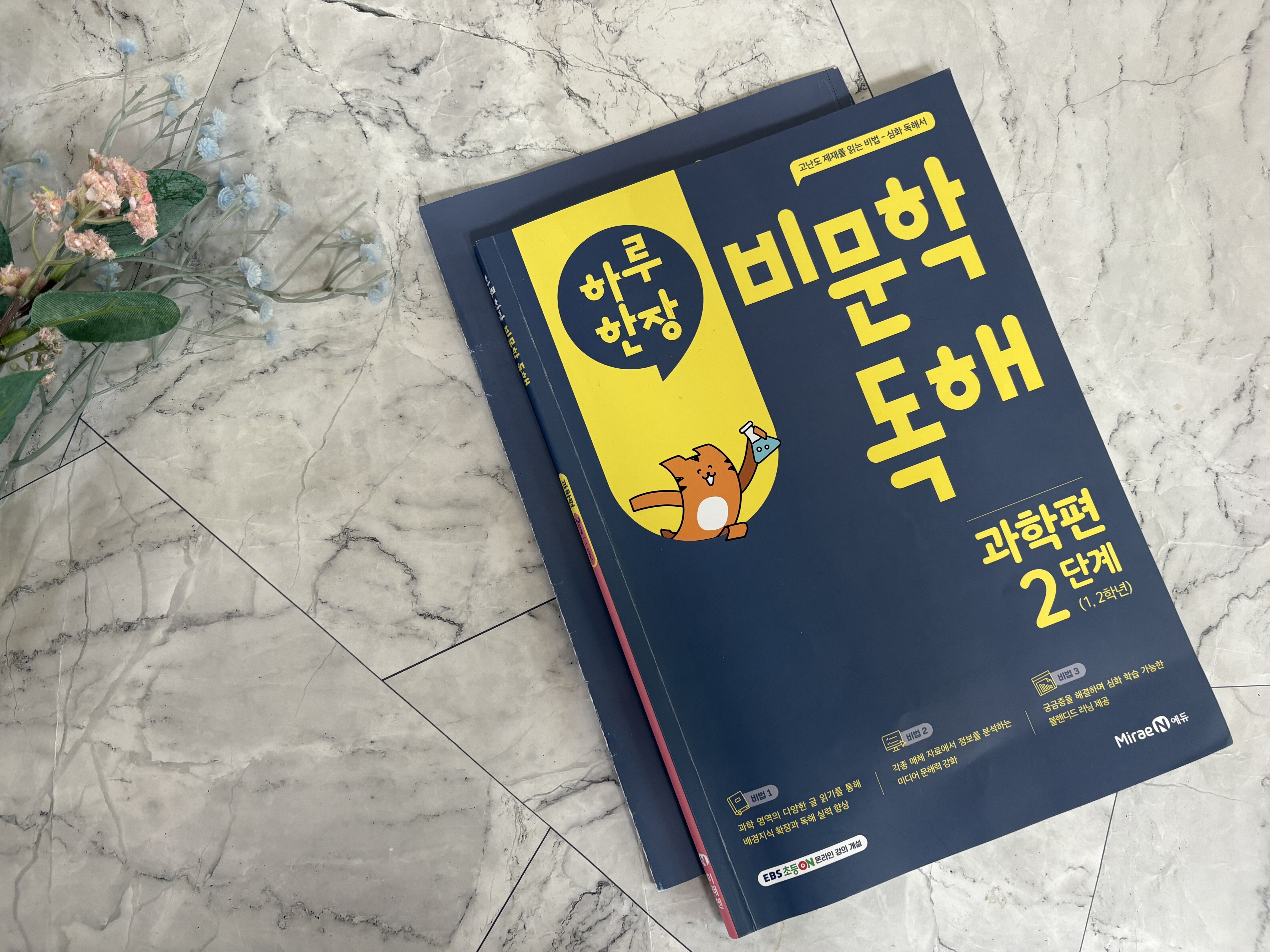 첨부된 사진