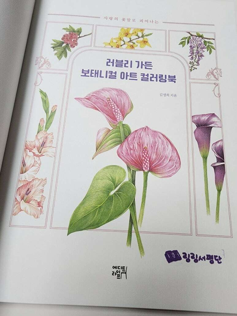 첨부된 사진